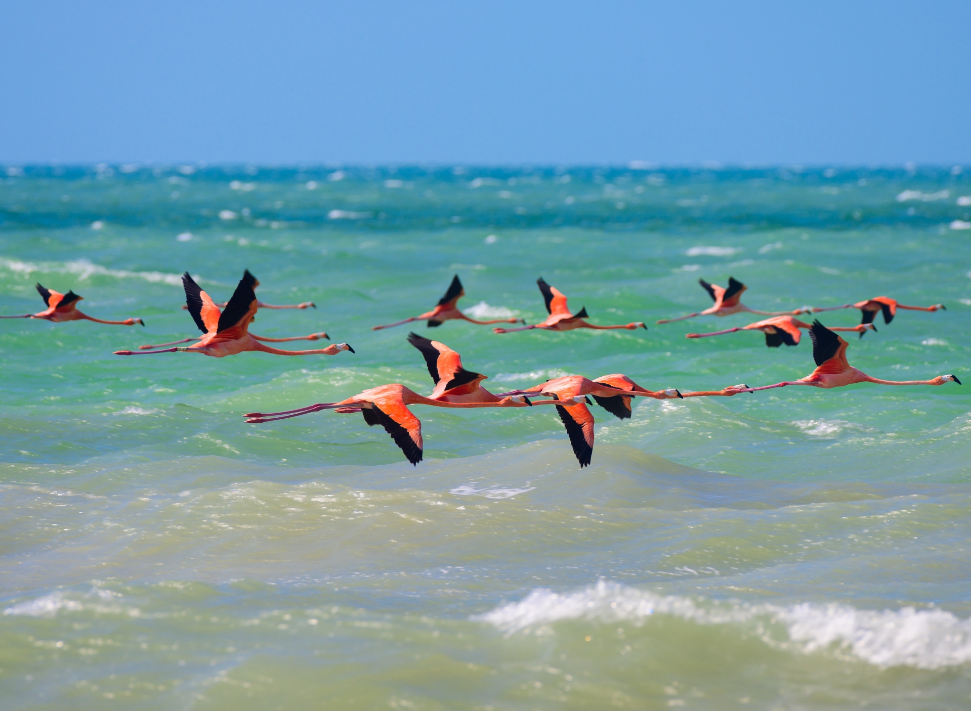 Costa Yucateca
