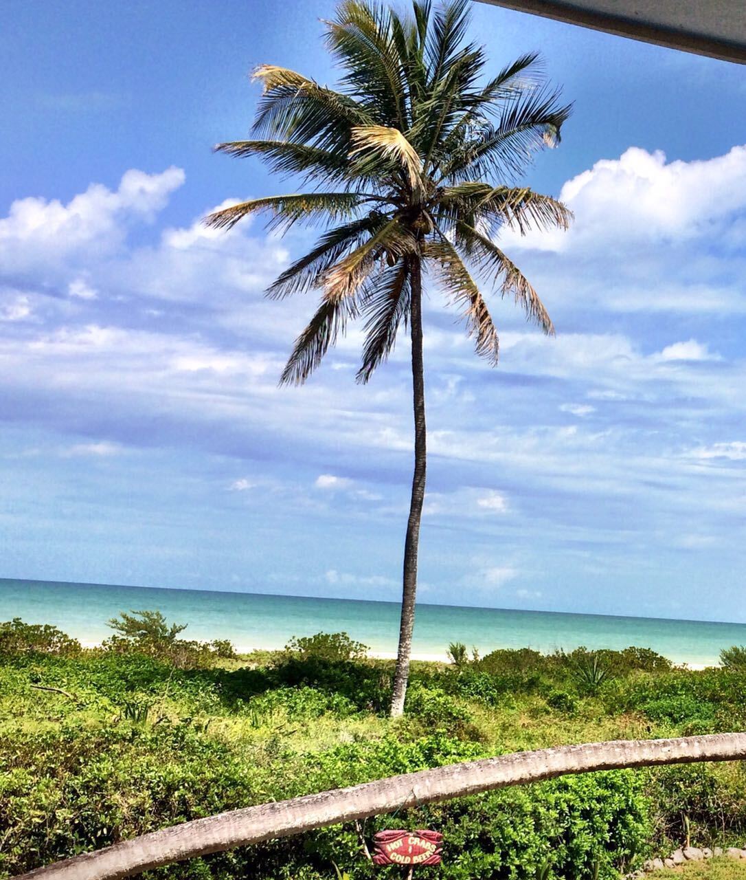Terreno frente al mar en venta en Sisal, Yucatán