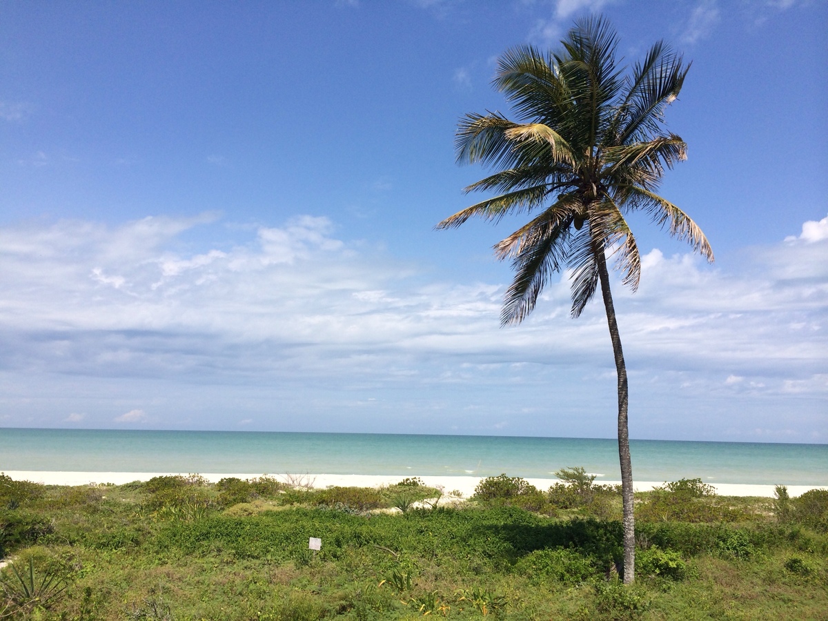 Terreno frente al mar en venta en Sisal, Yucatán